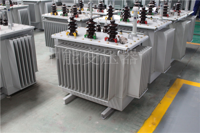 抚州S22-250KVA/10KV变压器